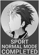 sports_normal